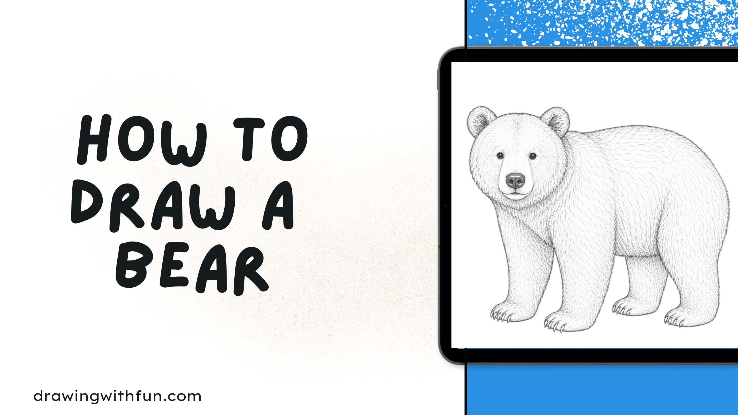 How to draw a bear