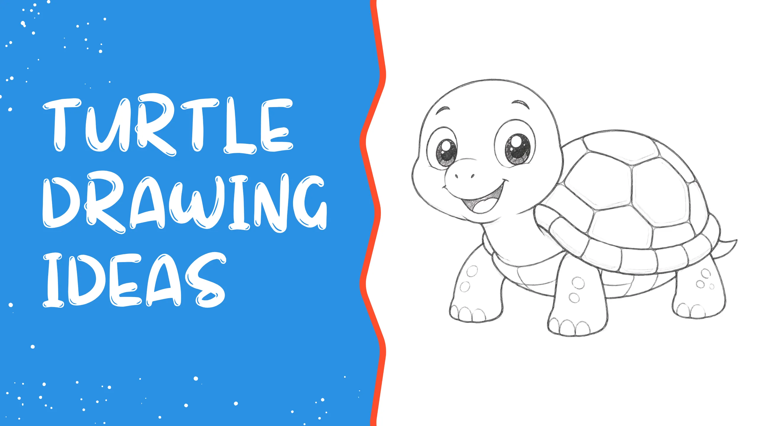 Turtle drawing ideas