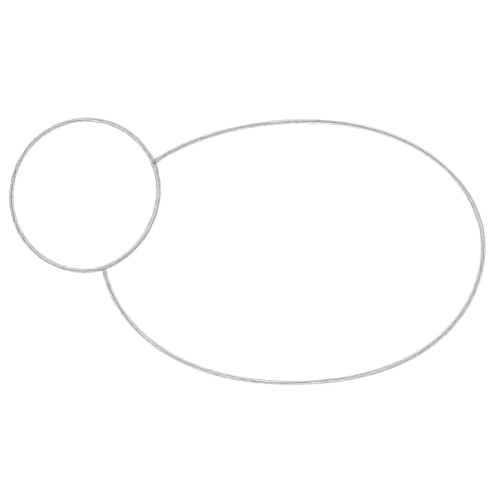 step 2 draw the body shape