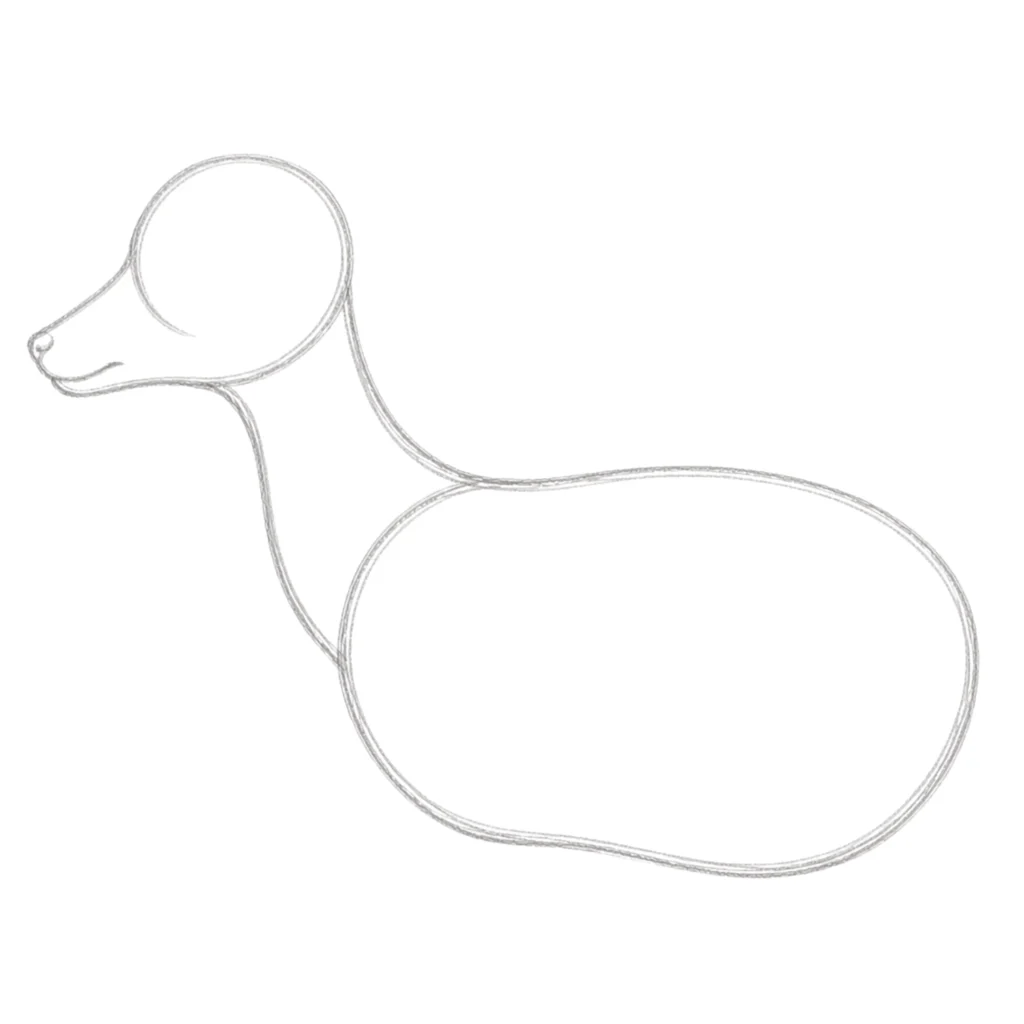 step 5 draw the face shape