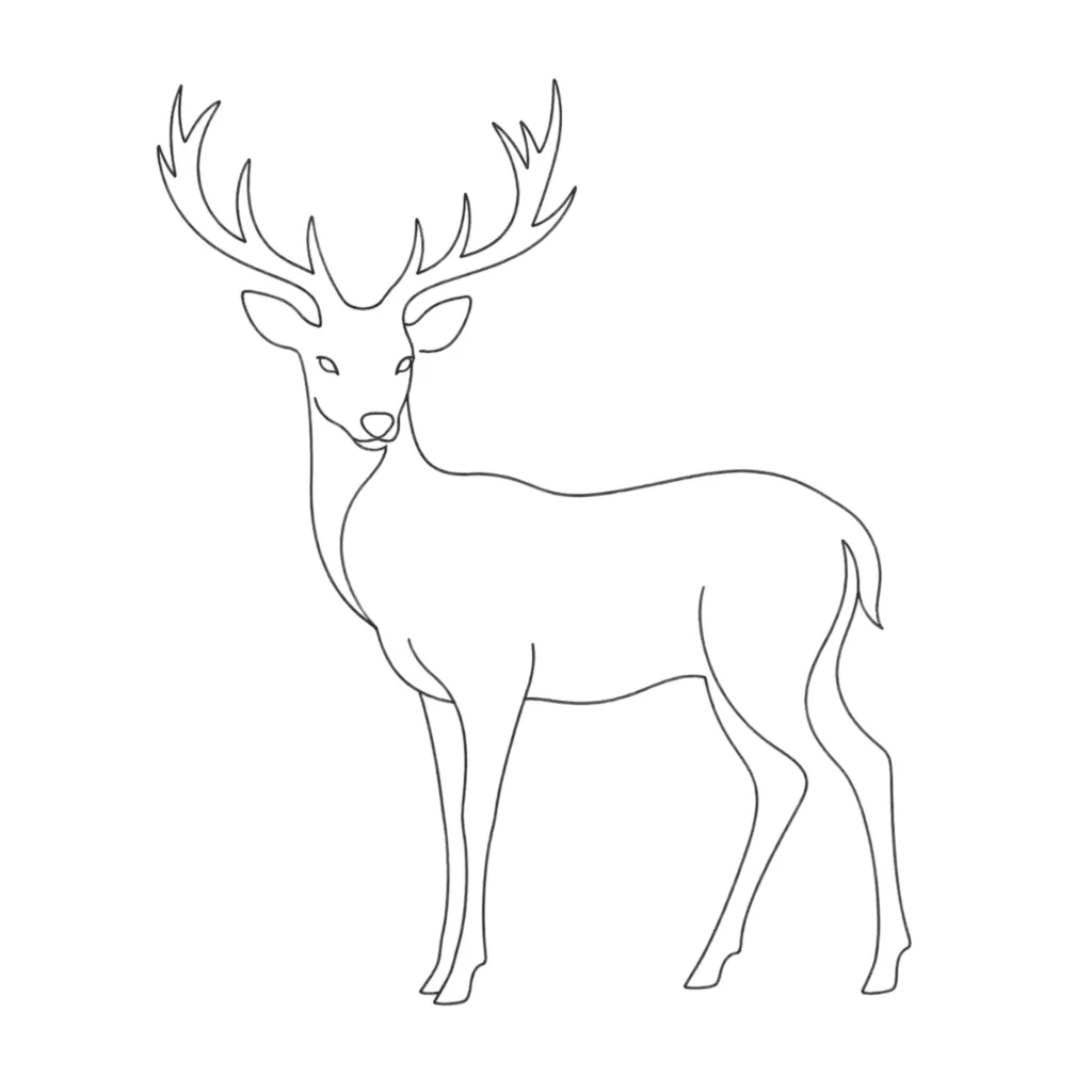 minimalist deer