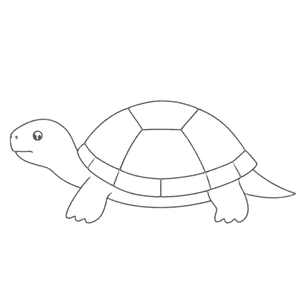 snapping turtle drawing