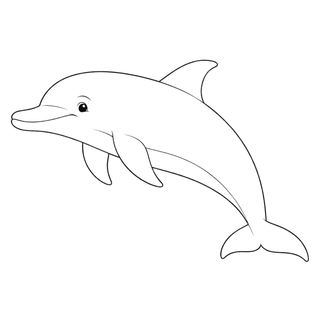 Bottlenose dolphin drawing